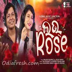 Love Rose